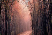 西班牙人对阵皇家马德里,这场德比战藏着多少惊喜与恩怨?