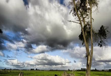 切尔西对阵水晶宫,这场英超对决有哪些看点和悬念?